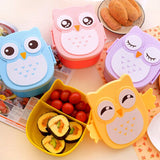 Cartoon Owl Lunch Box / Food / Fruit Storage Container